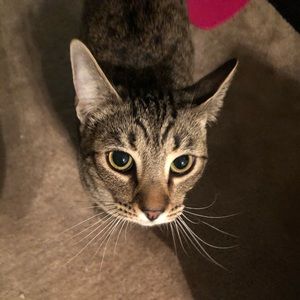 Meet your Posher, Natalie